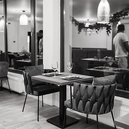 Pensiunea Hotel 4*